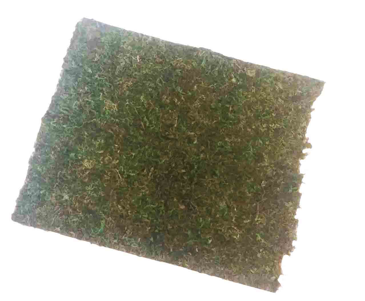 127512 - 16" x 18" Peel & Stick Moss Mat - 5.95 ea