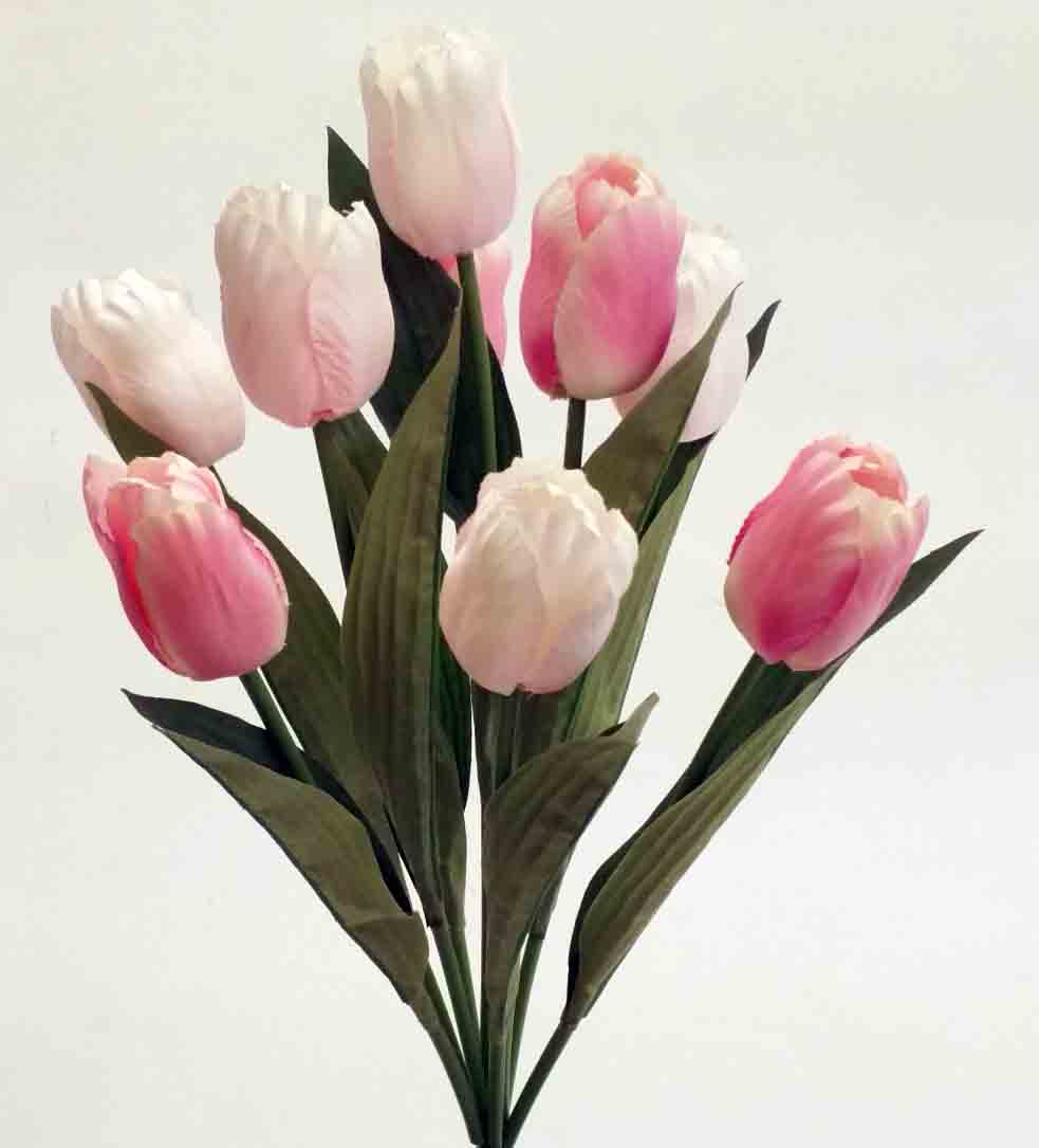 TB79 - 18" Pink/White Tulip Bush - 4.85 ea, 4.50/12