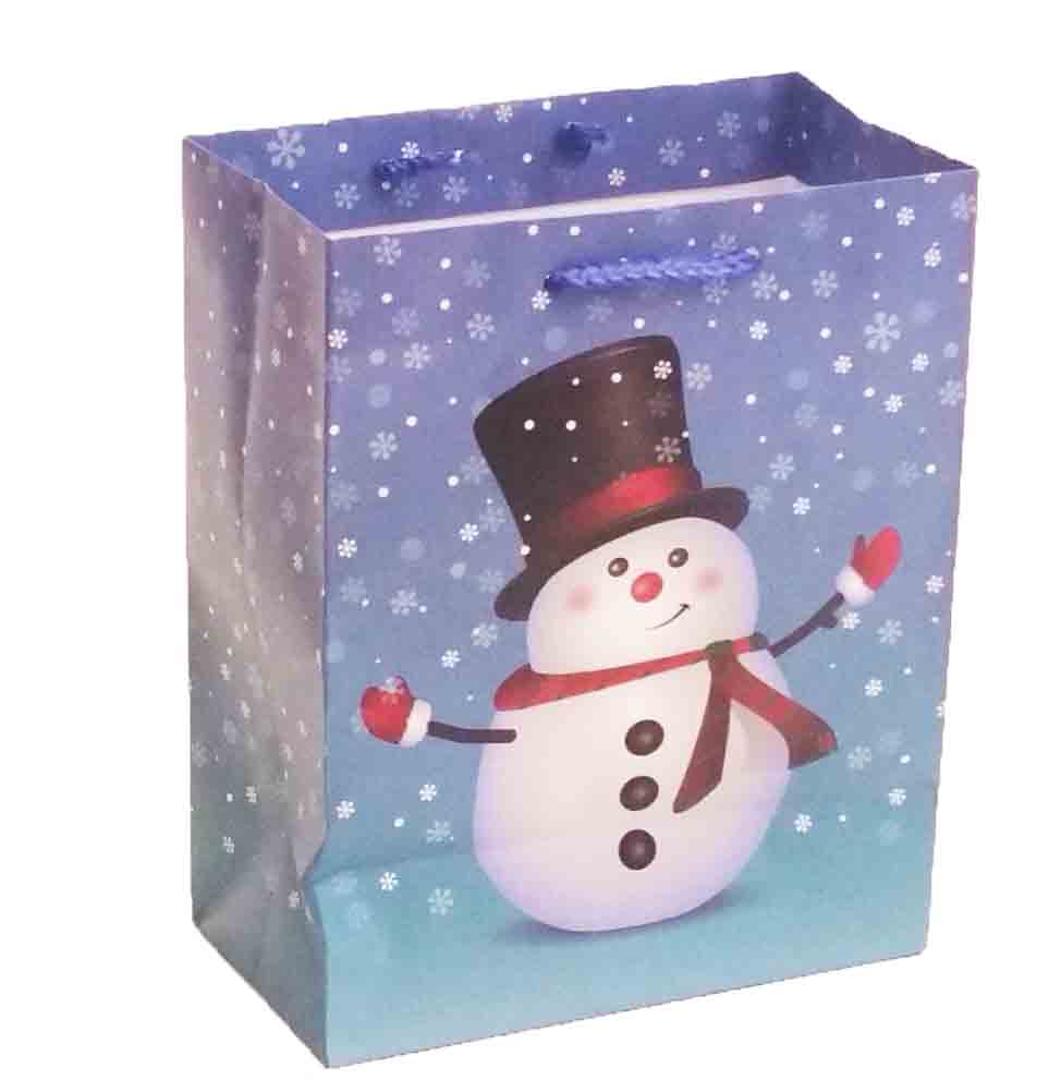 X316 - 4 x 7 x 9" Medium Gift Bag - .95 ea, .75/12