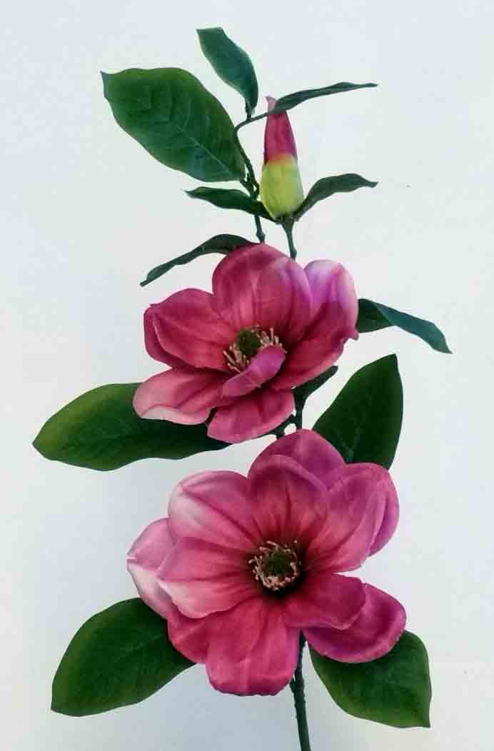 M84 - 32" Beauty Magnolia Spray x 2 - 5.95 ea, 12 or more 5.50