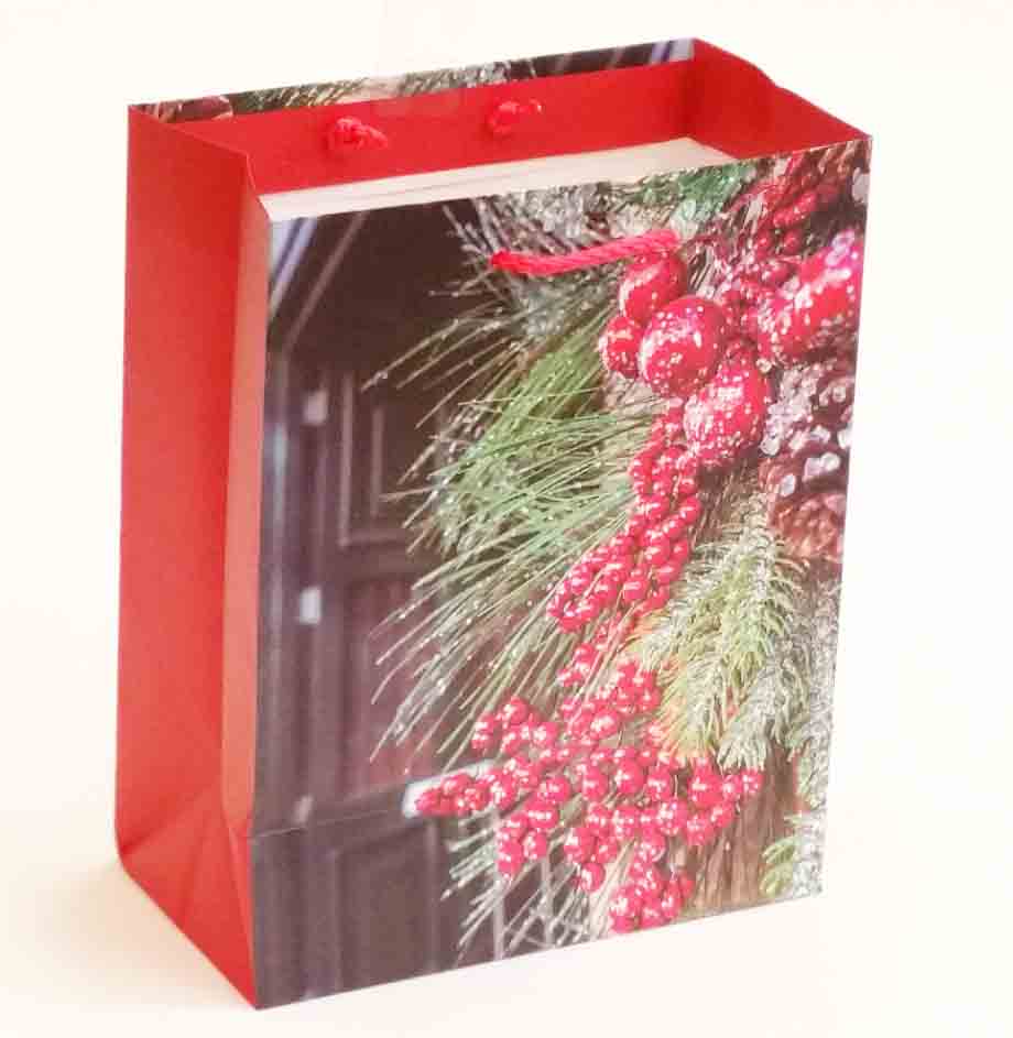 X317 - 5.5 x 10.5 x 13" Large Gift Bag - 1.30 ea, 1.15/12