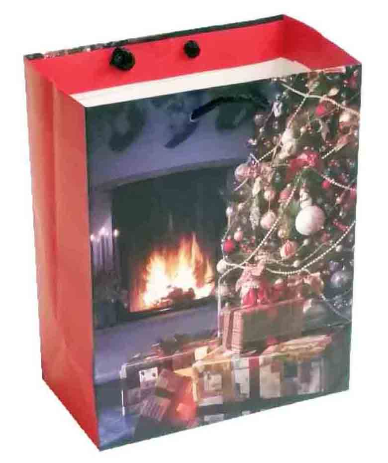 X316 - 4 x 7 x 9" Medium Gift Bag - .95 ea, .75/12