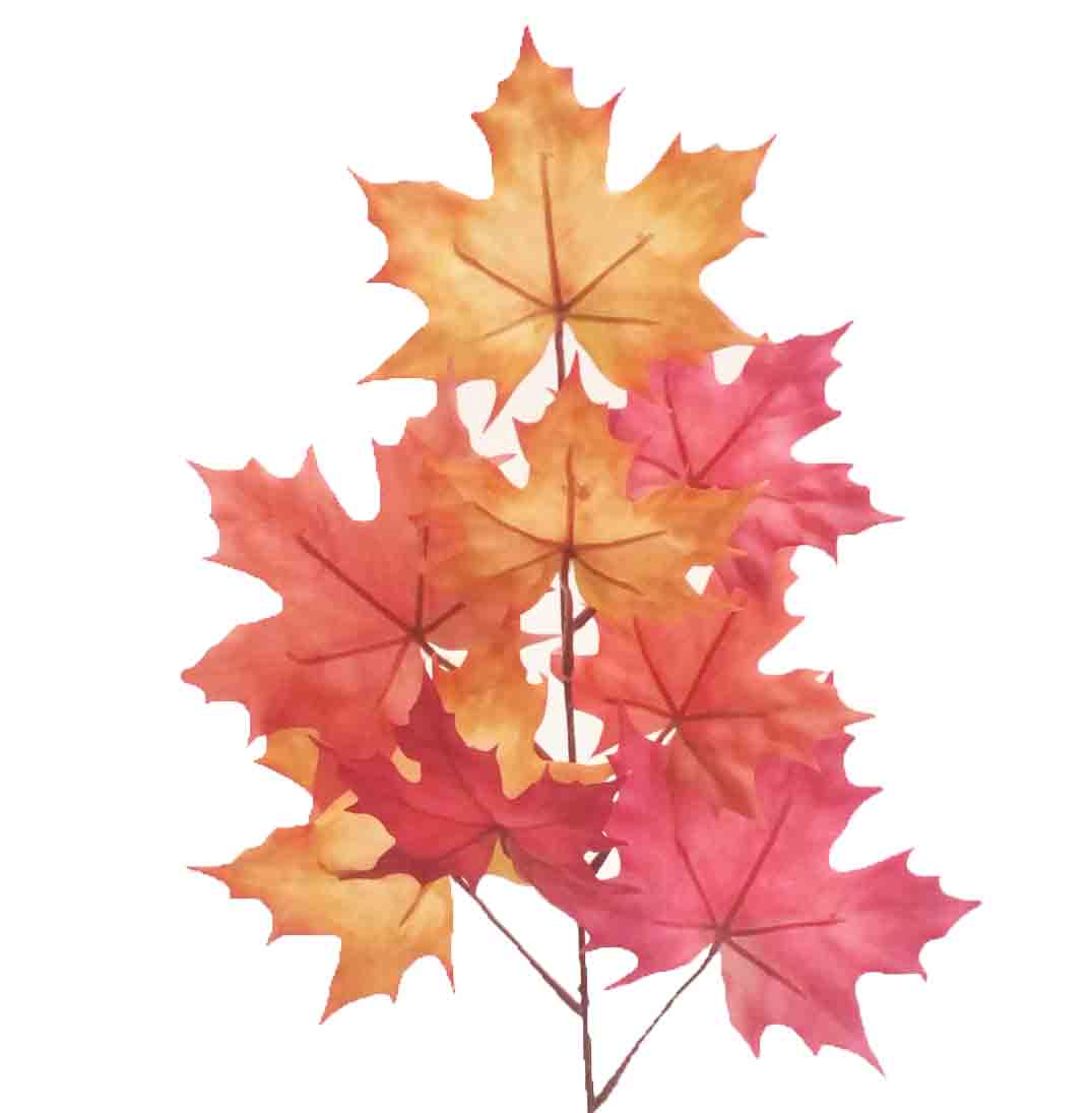 MLS8 - 19" Maple Leaf Spray - 1.95 ea