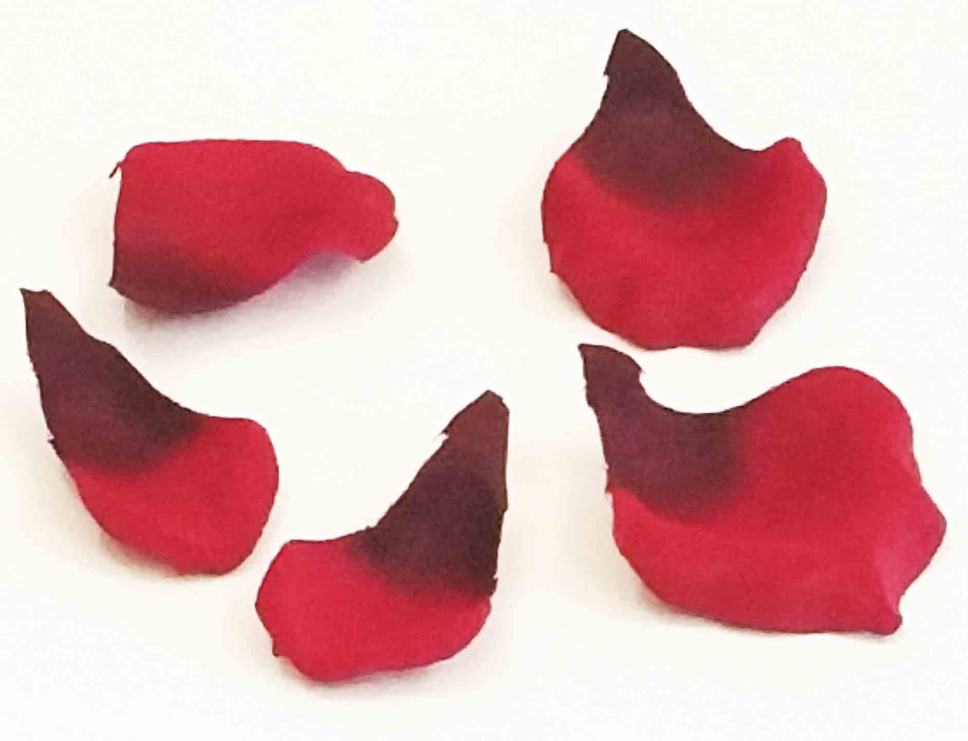 RP6 - Rose Petals - 3.35 bag of 100, 3.15/12