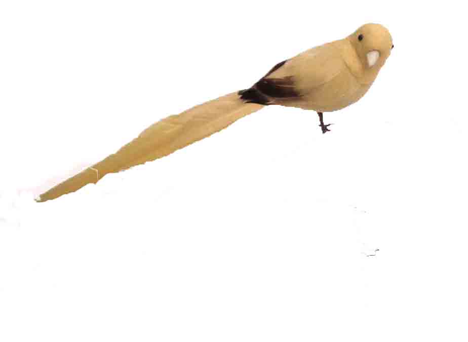 5910 - 9" Long Tail Bird - 2.60 ea, 2.35/12