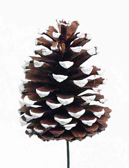 X752 - 3.5" Pine Cone Pick - 1.10 ea, 1.05/12, .95/72