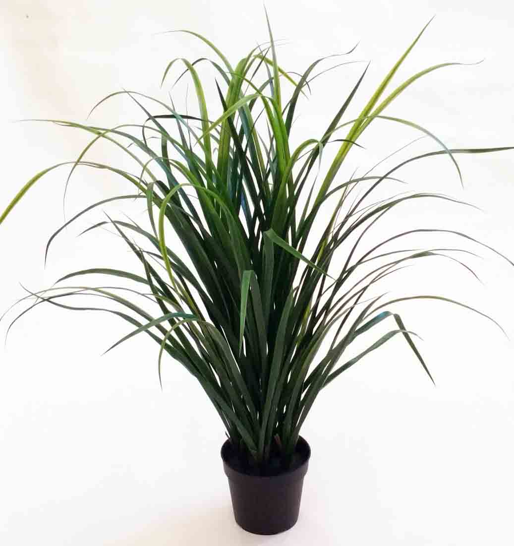 LP33 - 33" Potted Lemon Grass Plant - 53.75 ea