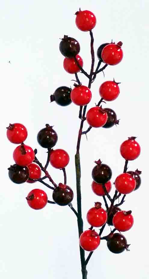 XB22 - 22" Berry Spray x 3 - 4.35 ea, 3.95/24