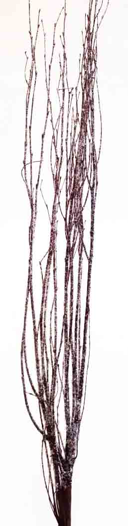 2770 - 3-4' Snow Glittered Birch Branch - 3 pc - 8.75 bag