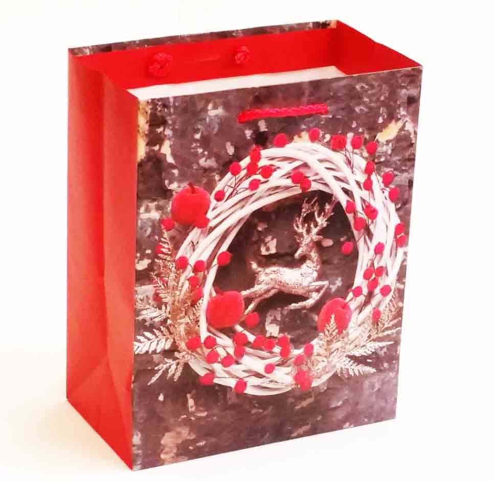 X316 - 4 x 7 x 9" Medium Gift Bag - .95 ea, .75/12