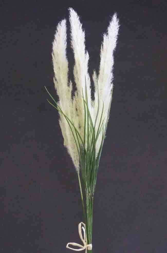 AG25 - 25" Aloe Grass Bundle - 6.45 ea, 5.95/12