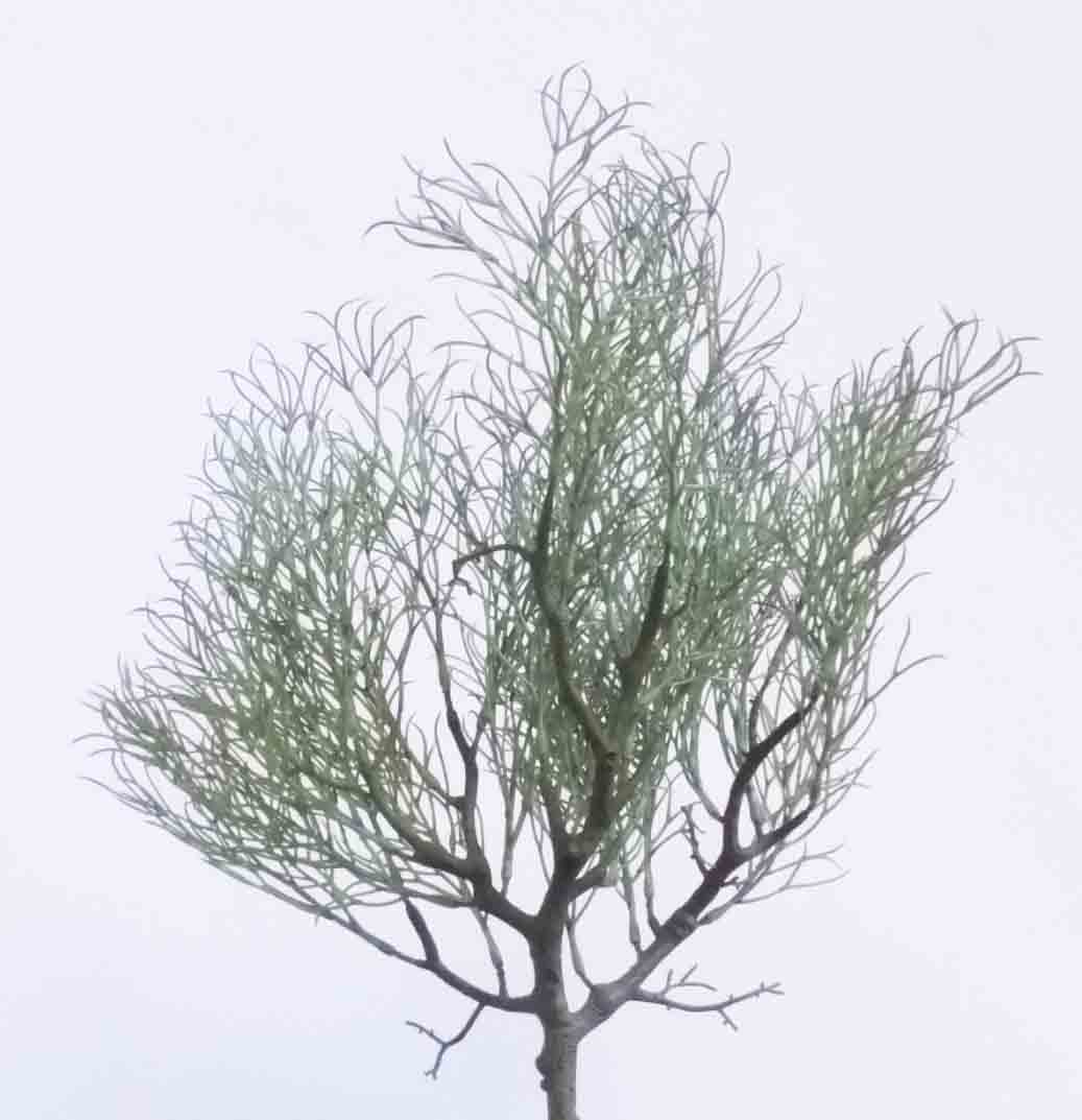 CG14 - 14.5" Light Green Coral Grass Bush - 5.50 ea, 4.95/12