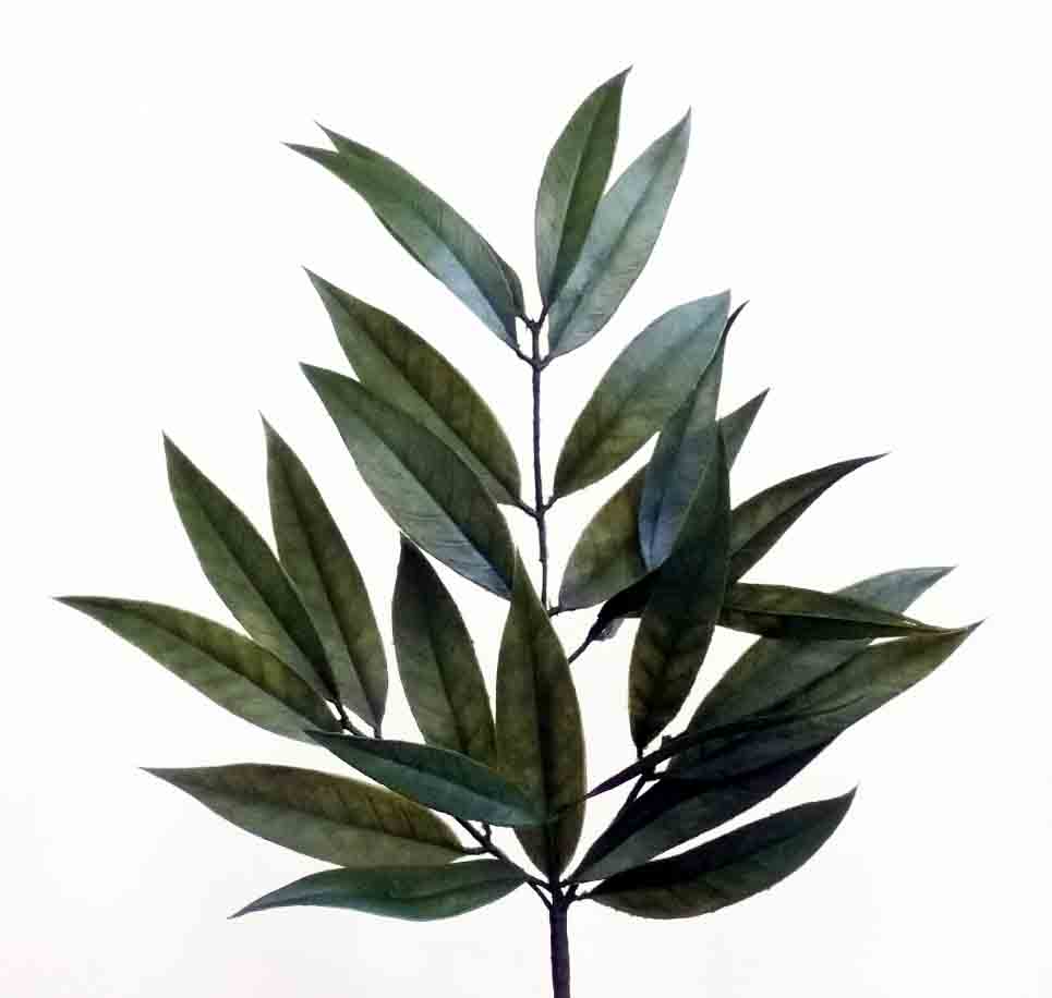 WW5 - 23" Willow Spray - 2.85 ea