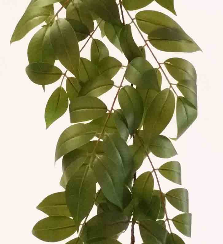 SG52 - 6' Salal Leaf Garland - 19.75 ea