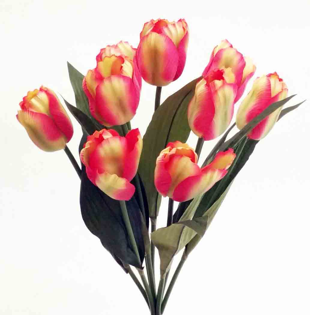 TB79 - 18" Yellow/Beauty Tulip Bush - 4.85 ea, 4.50/12