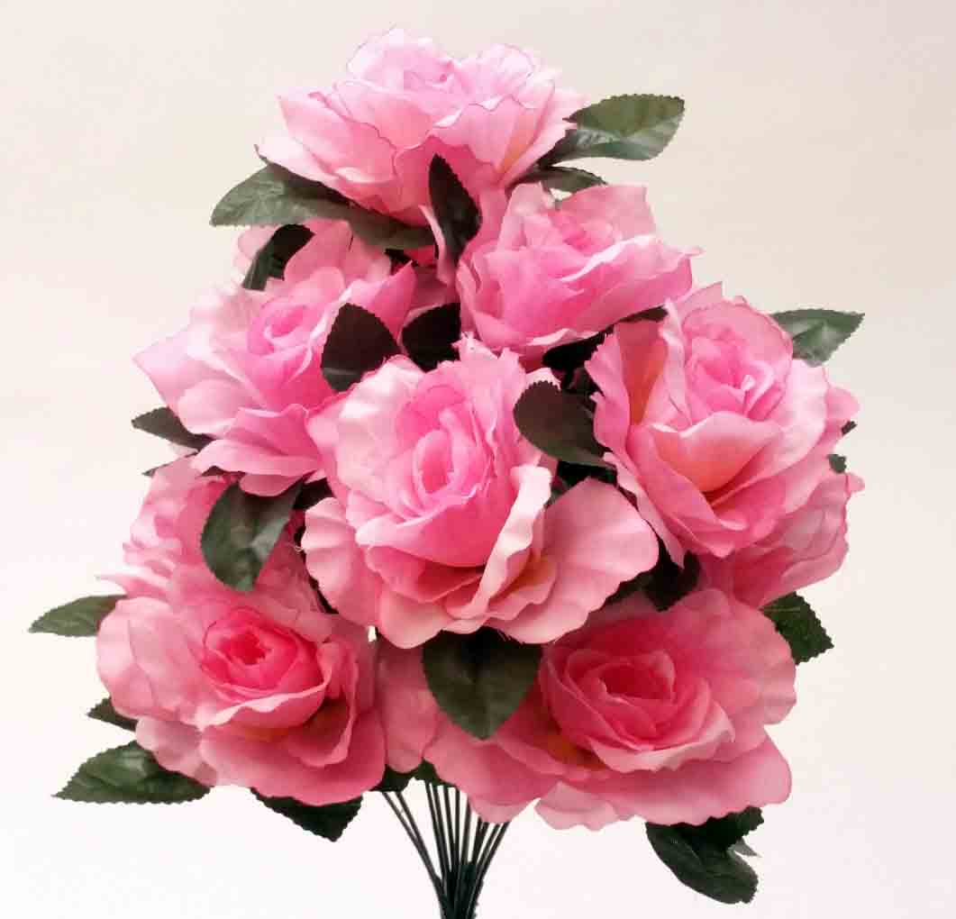 RBE12 - 16" Pink Econo Rose Bush - 7.50 ea, 6.95/12