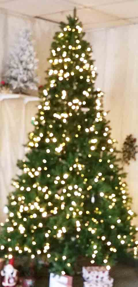 XT12L - 12' Pre-Lit Pine Tree - 1,615.00 ea