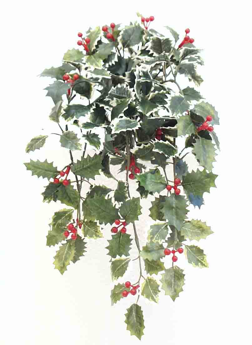 X1412 - 15" Mini Holly Hanging Bush - 5.85 ea