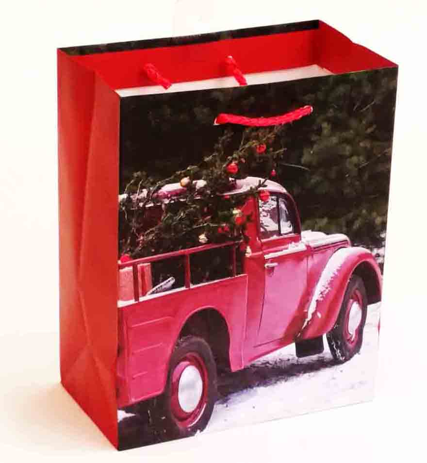 X316 - 4 x 7 x 9" Medium Gift Bag - .95 ea, .75/12