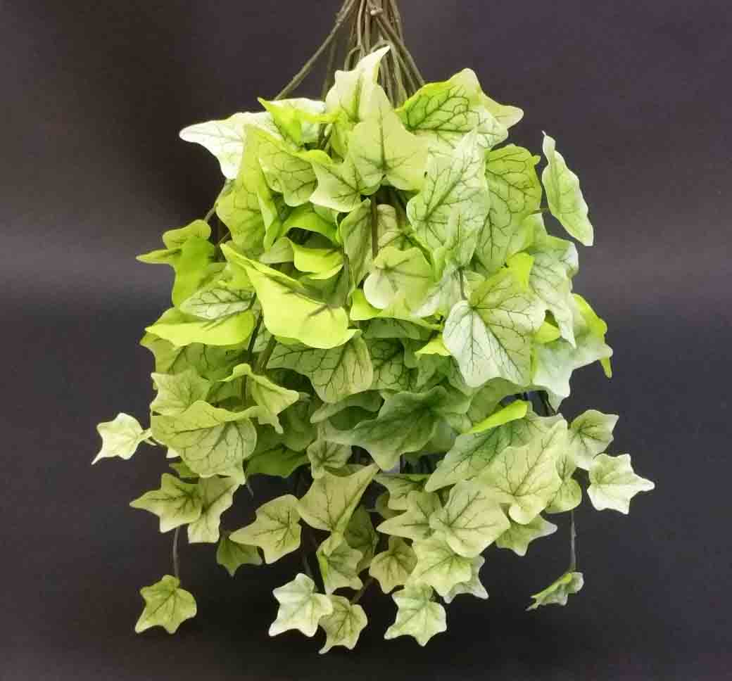 IV47 - 15" Ivy Bush - 7.50 ea