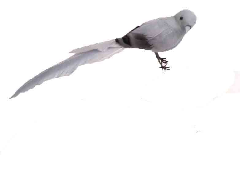 5910 - 9" Long Tail Bird - 2.60 ea, 2.35/12