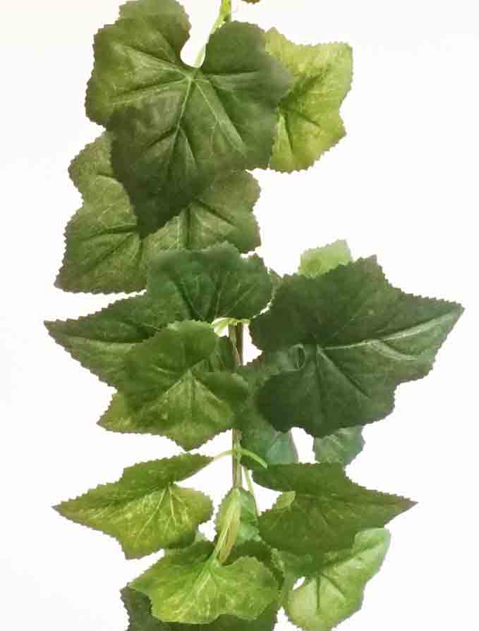 SG58 - 6' Squash Ivy Garland - 13.95 ea, 13.50/6