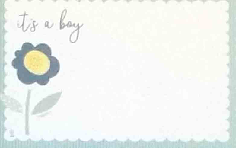 AC4988 - It's a Boy - 2.45 pkg, 2.25/10