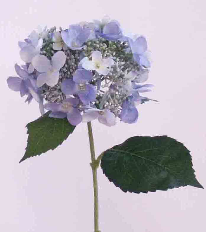 H151 - 20" Blue Half-Open Hydrangea 5.45 ea, 4.95/12