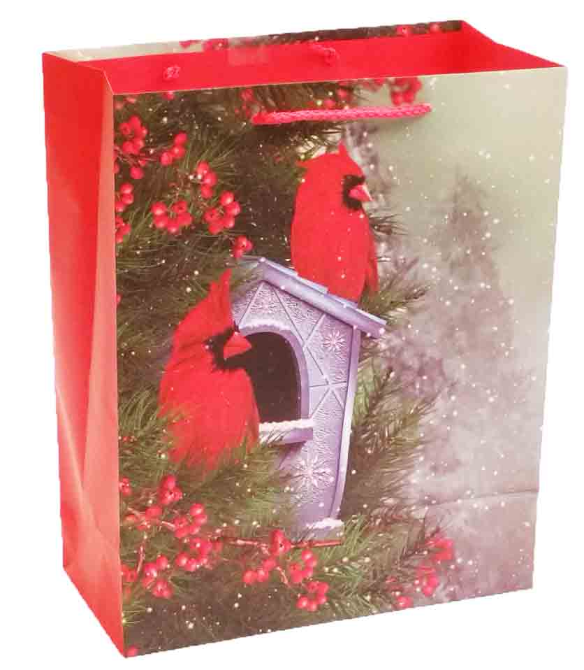 X317 - 5.5 x 10.5 x 13" Large Gift Bag - 1.30 ea, 1.15/12