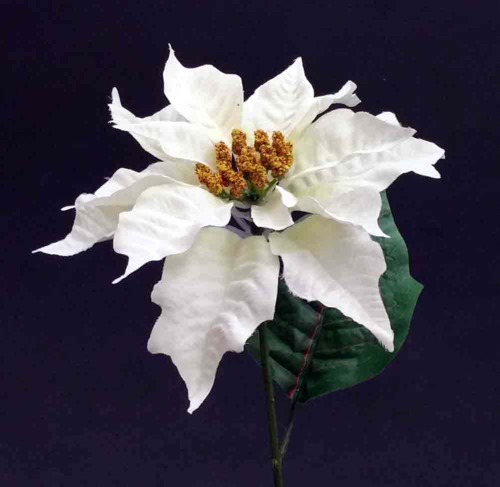 X319 - 27" White Single Poinsettia - 2.50 ea