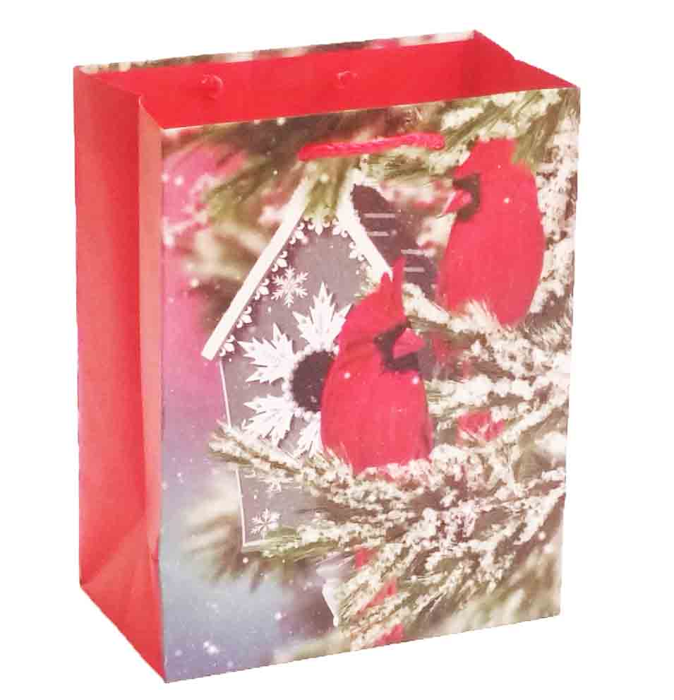 X316 - 4 x 7 x 9" Medium Gift Bag - .95 ea, .70/12