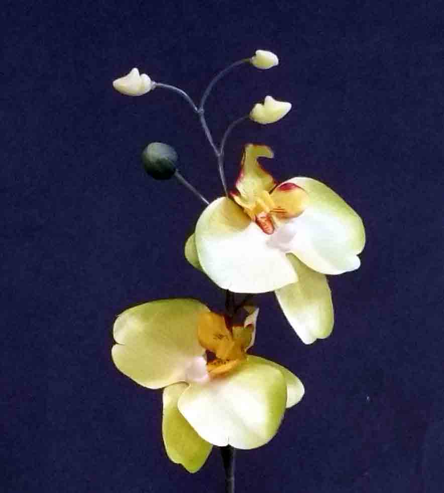 OP80 - 11" Green Phalaenopsis Orchid x 2 - 1.55 ea, 1.30/48
