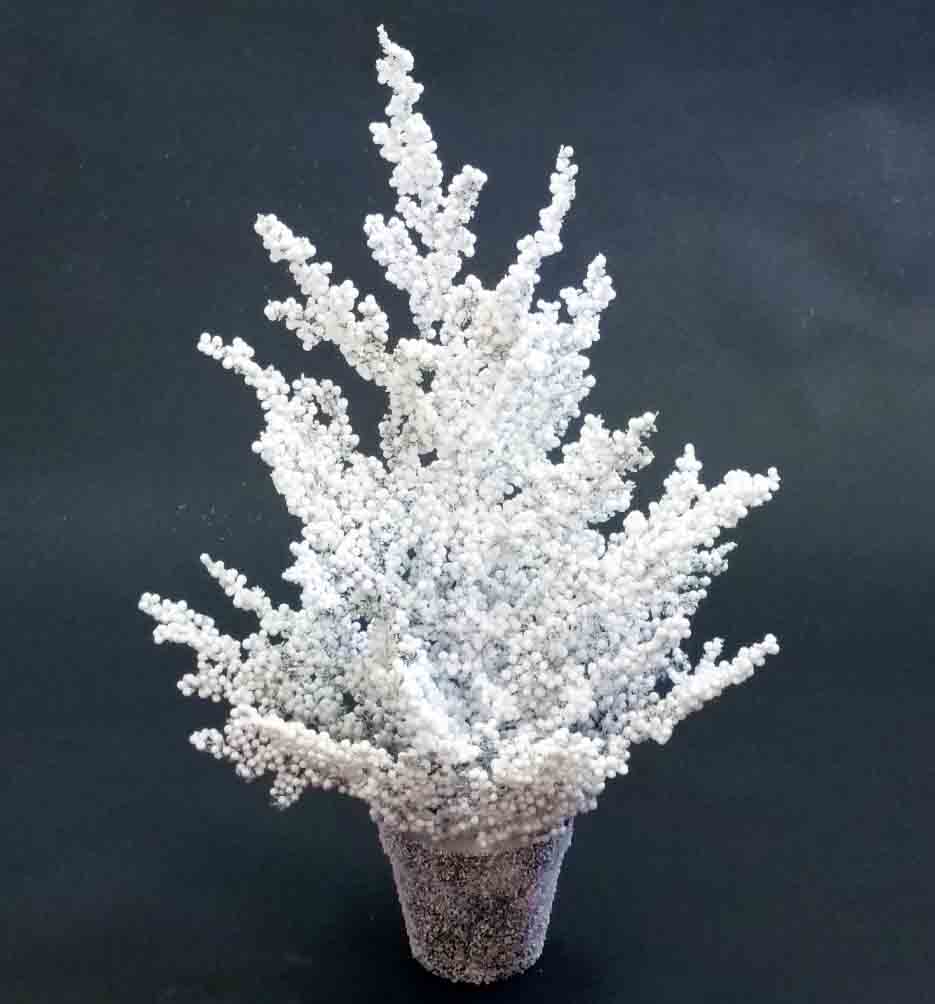 XT23 - 23" Potted Snowball Tree - 19.25 ea