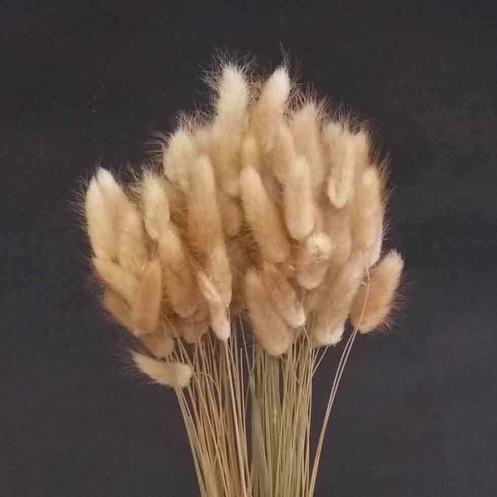 1218N - Natural Bunny Tails - 7.25 bu