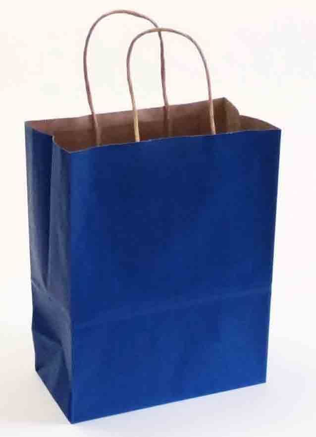 10513 - 10x15x13" Navy Paper Shopping Bag - .75 ea, .50/12