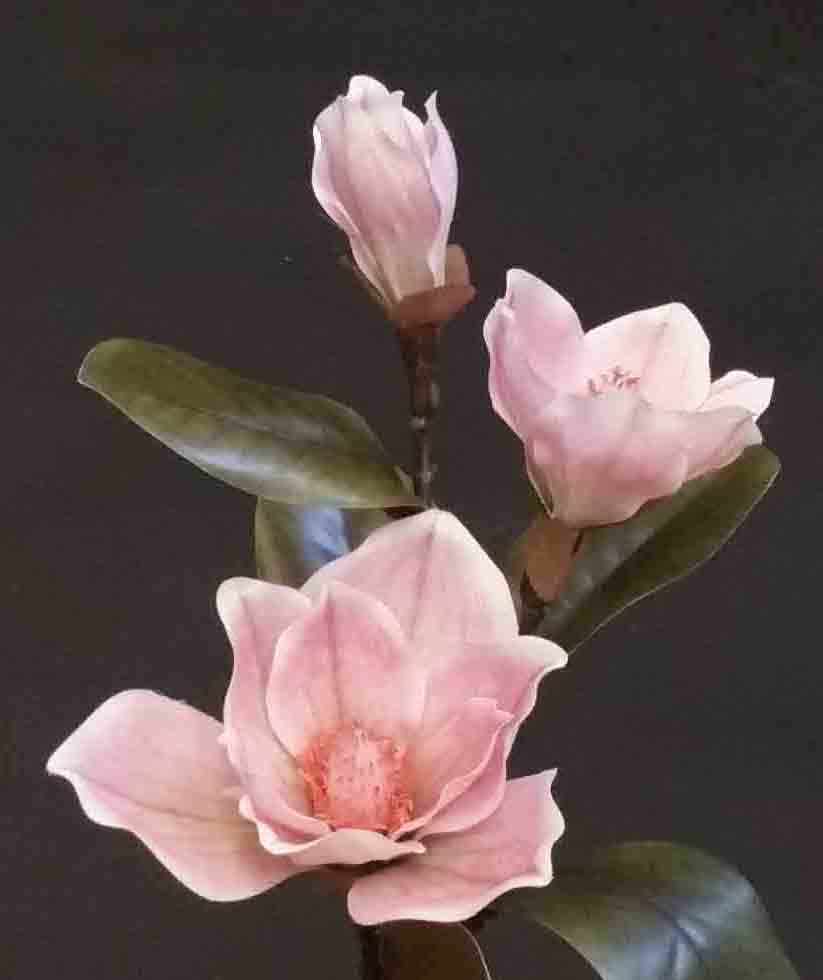 M413 - 31" Pink Magnolia Spray x 3 - 8.30 ea, 7.95/12