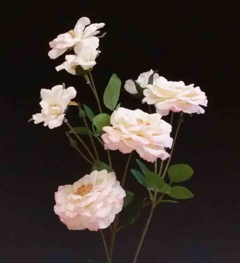 R7 - Pink/Cream36" Beijing Rose x 7 - 6.50 ea, 5.95/12
