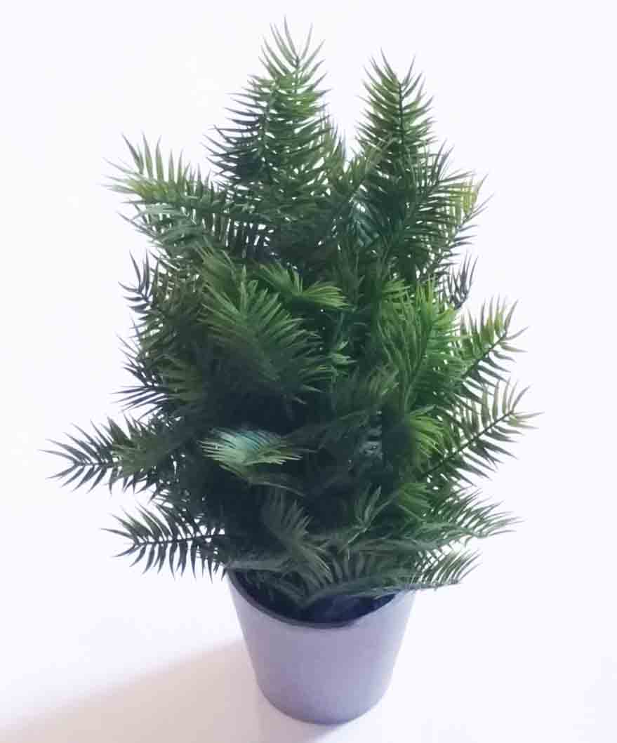AP20 - 20.5" Plastic Areca Plant - 22.75 ea