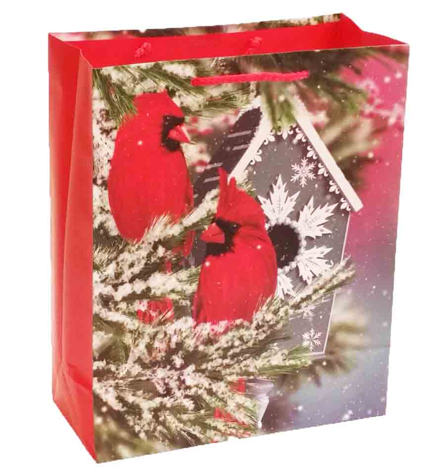 X317 - 5.5 x 10.5 x 13" Large Gift Bag - 1.30 ea, 1.15/12