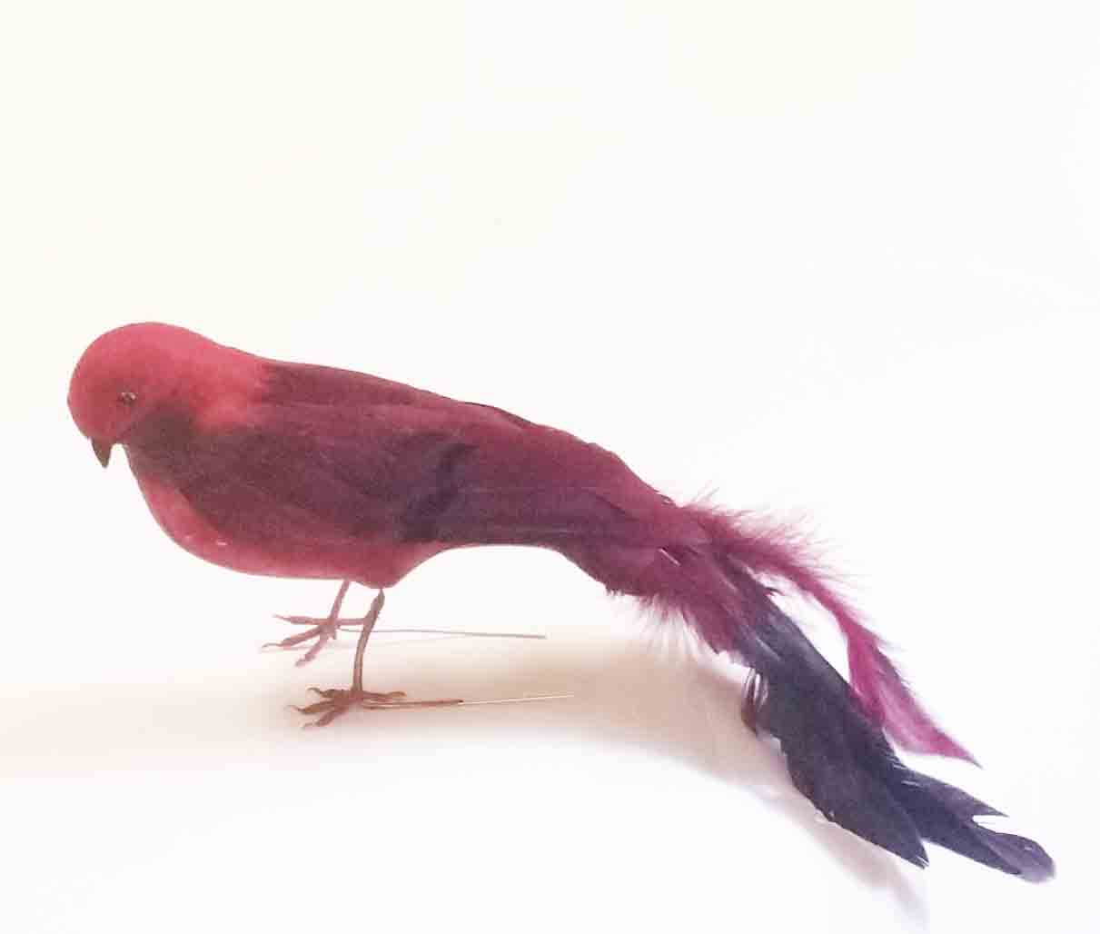 7743 - 14" Burgundy Feather Tail Bird - 2.75 ea, 2.50/12