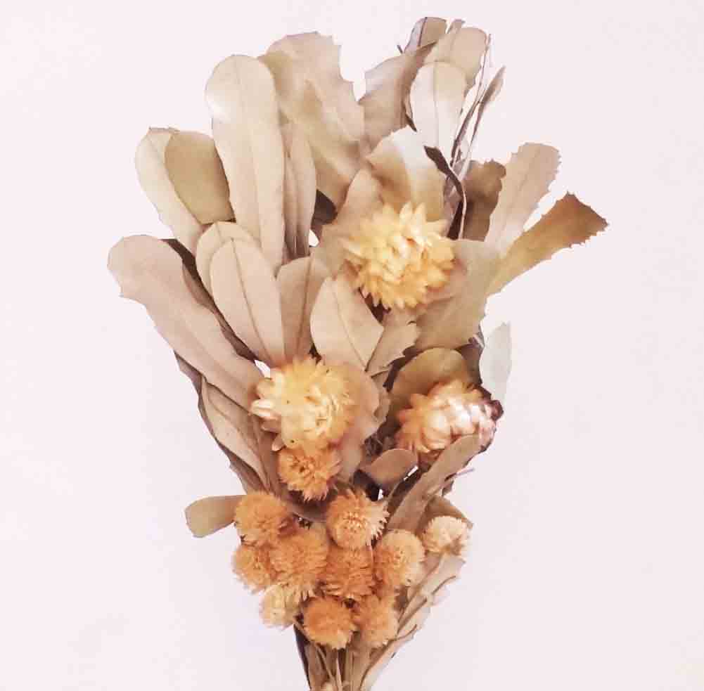 1503 - 11" Dried Bouquet - 9.95 ea