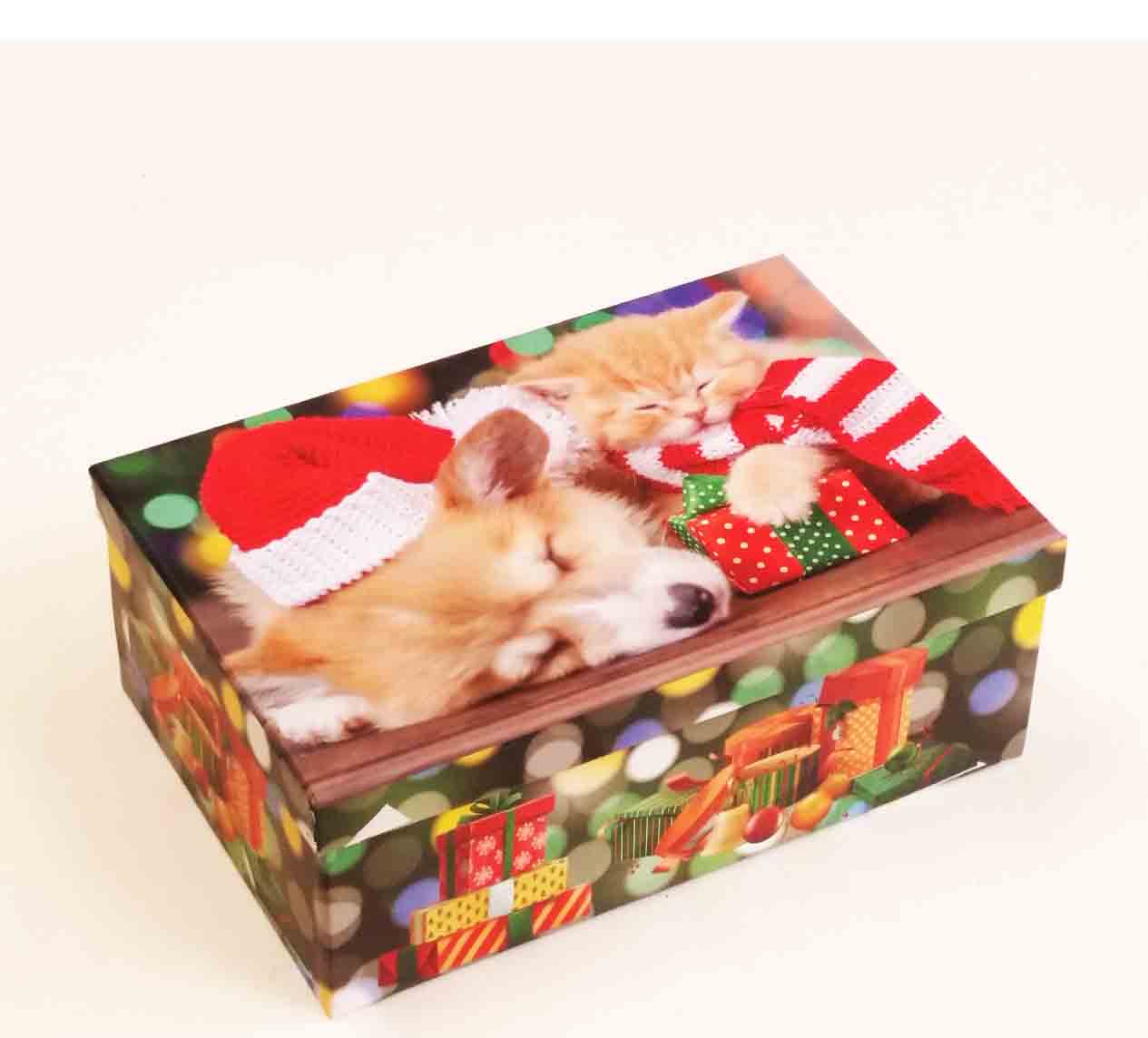 X7695 - Rectangular Gift Boxes - 10.95 set of 5