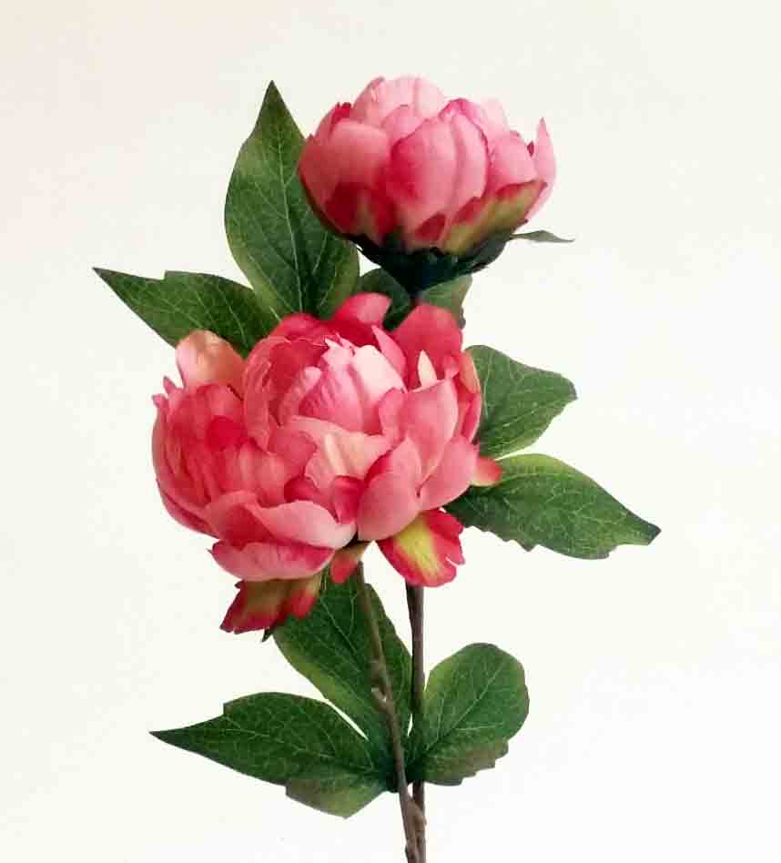 P16 - 16" Dark Pink Peony Spray - 2.95 ea, 2.75/12