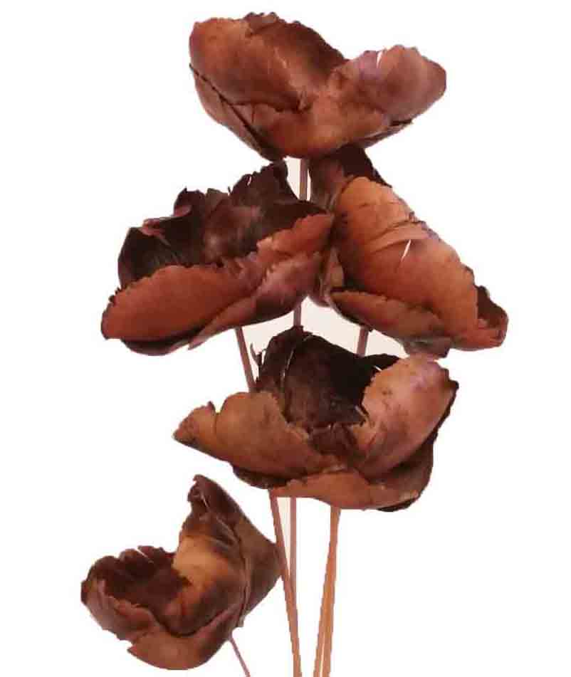 3205 - Natural Palm Blute - 6.75 bunch of 5