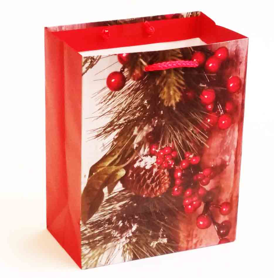X316 - 4 x 7 x 9" Medium Gift Bag - .95 ea, .75/12