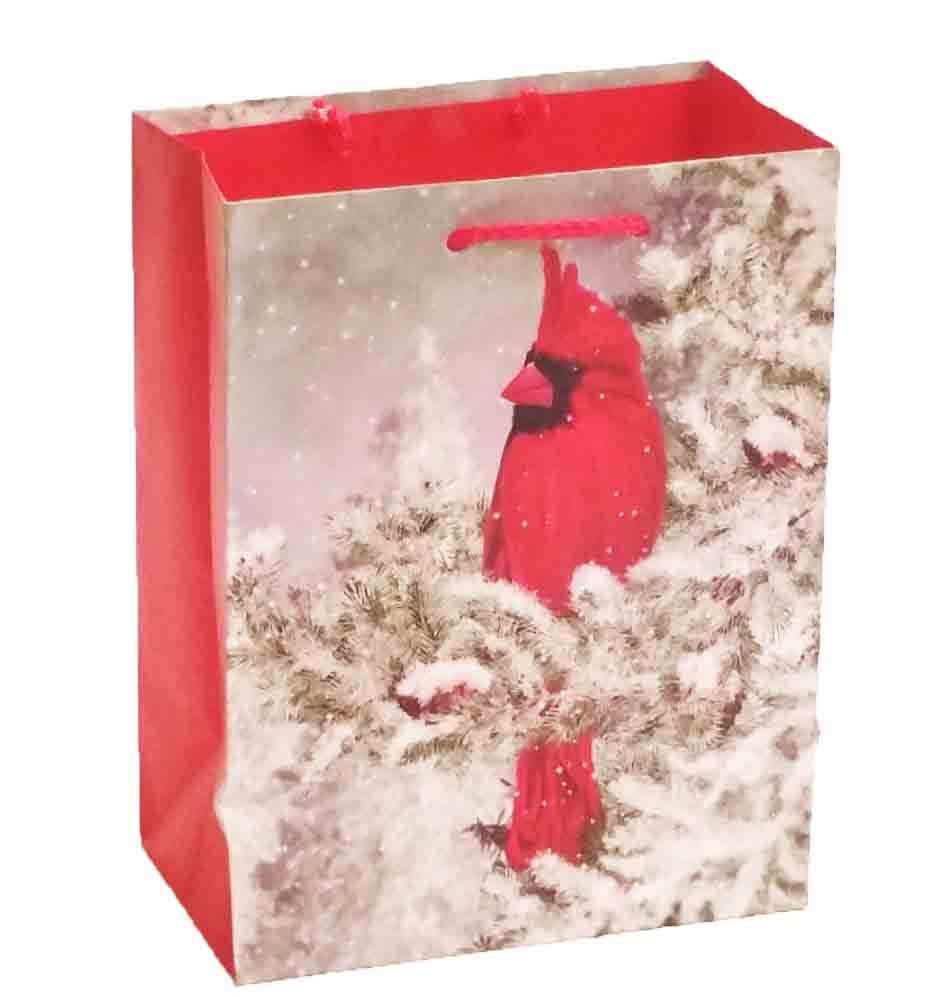 X316 - 4 x 7 x 9" Medium Gift Bag - .95 ea, .75/12