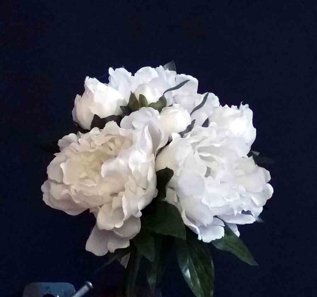 PB18 - White Peony Bouquet  x 7 - 8.95 ea, 8.50/12