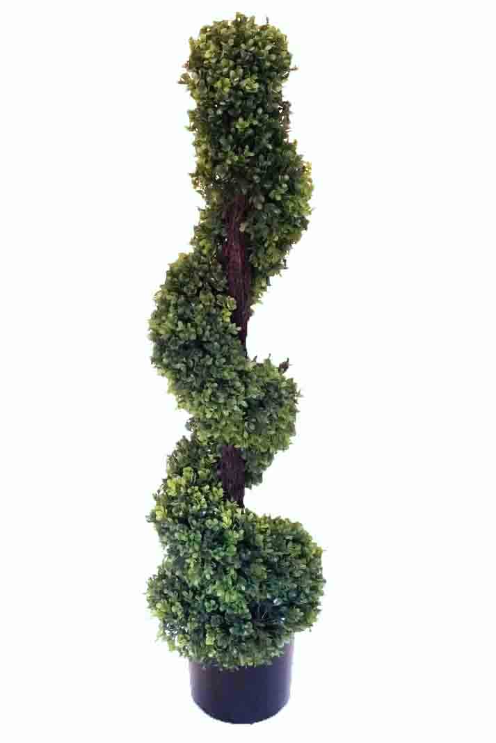 BS48 - 4' Spiral Boxwood Tree - 68.95 ea