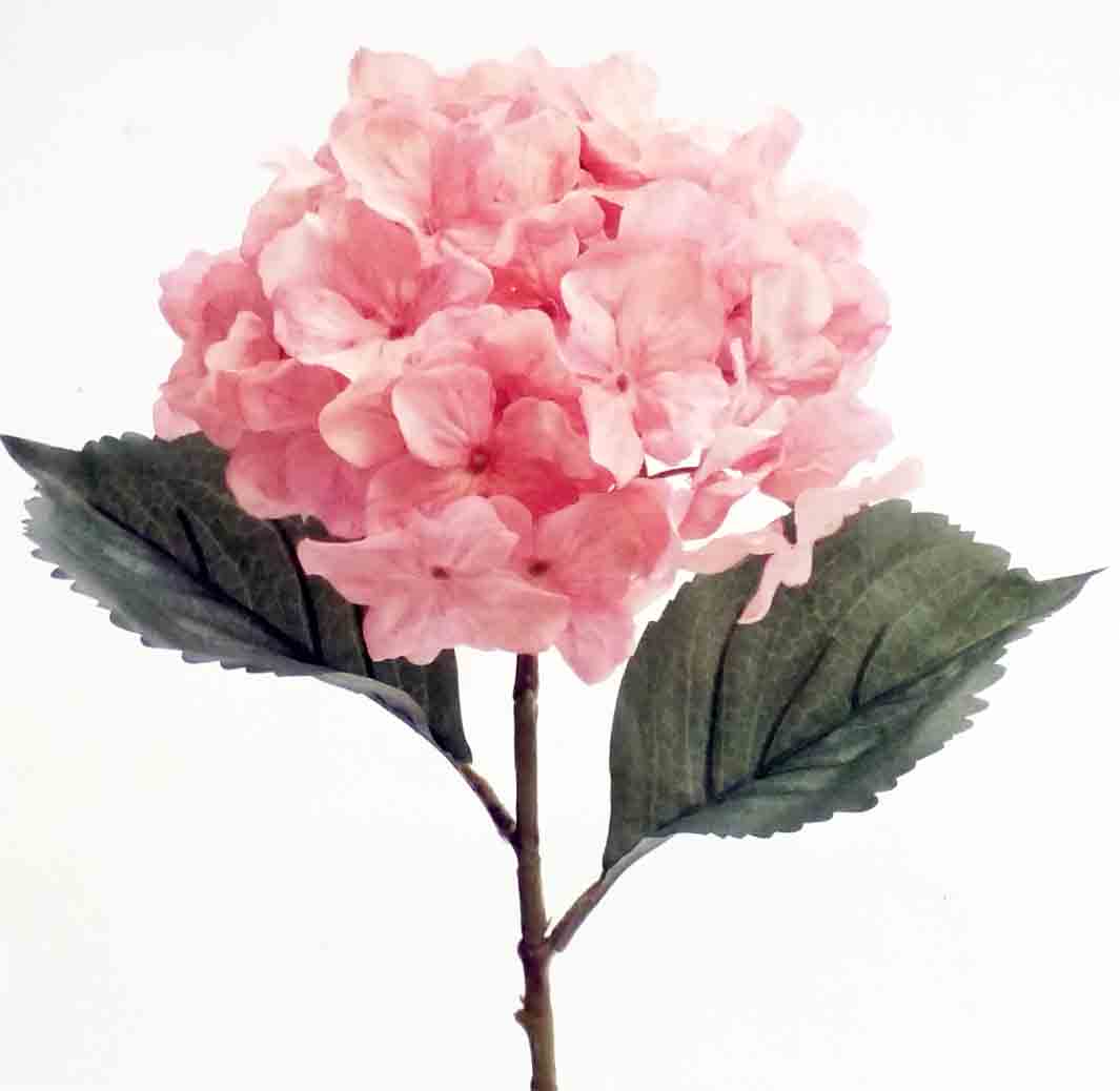 H06 - 26" Blush Pink Single Hydrangea  - 5.50 ea, 4.95/12