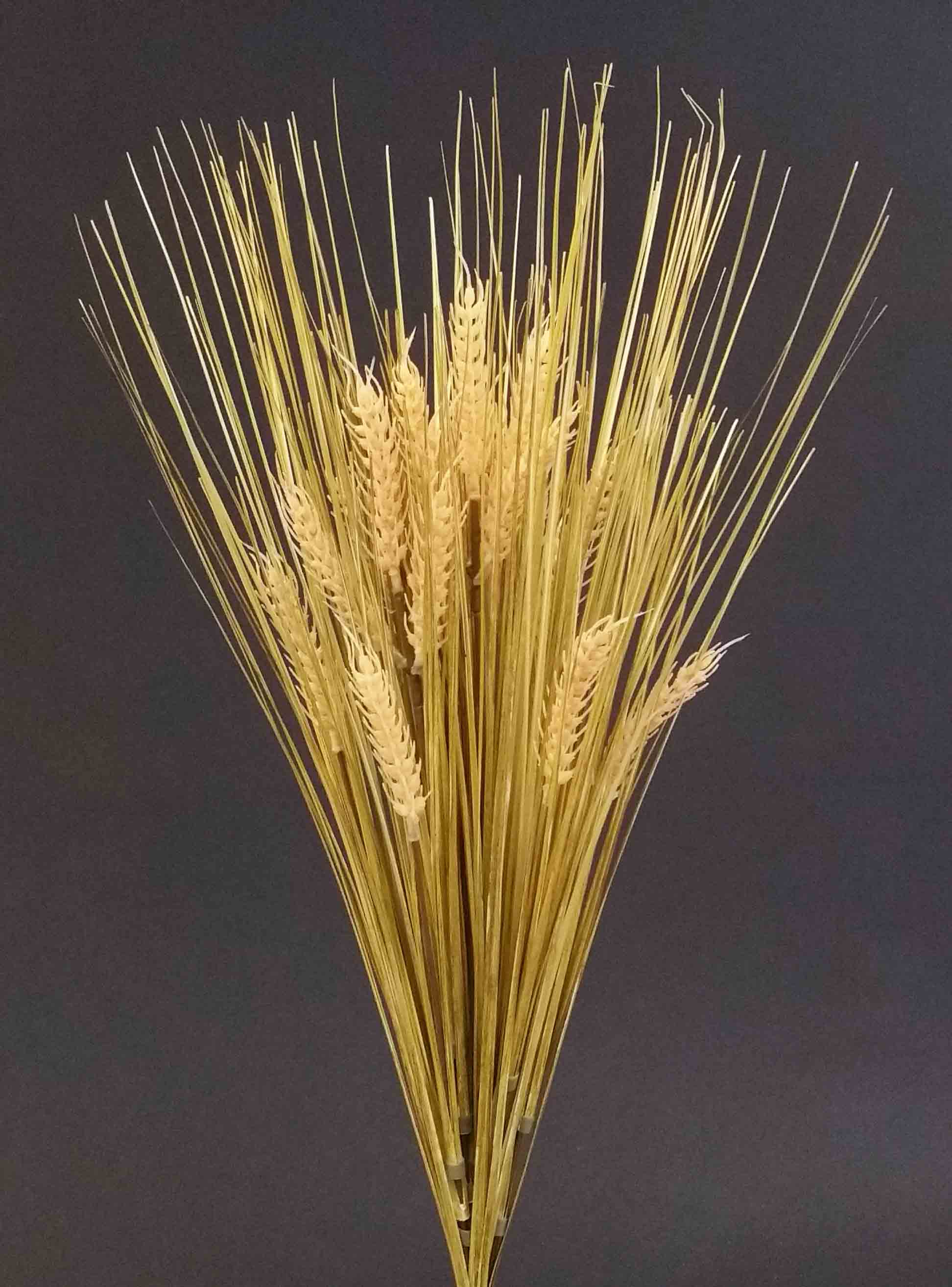 WB10 - 23" Wheat Bush - 4.45 ea